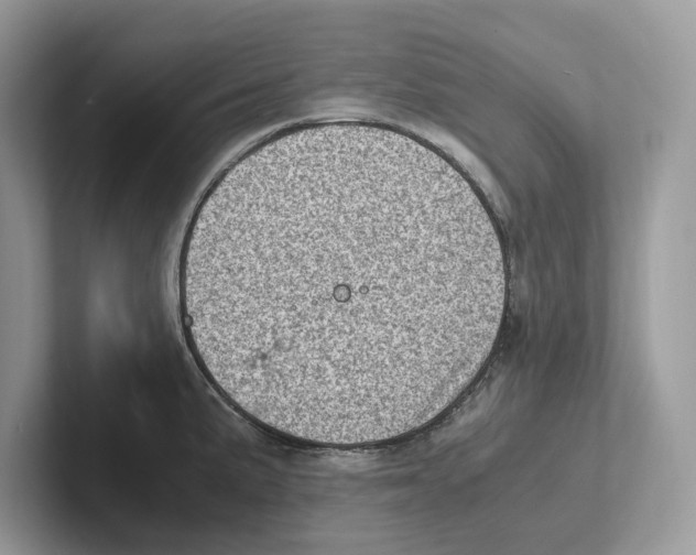 X0000100931191200807221130