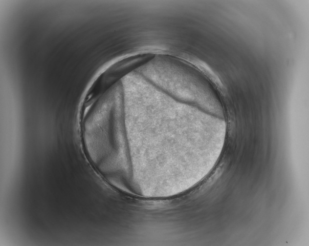 X0000100931192200807221130