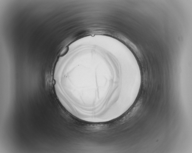 X0000100931193200807221130