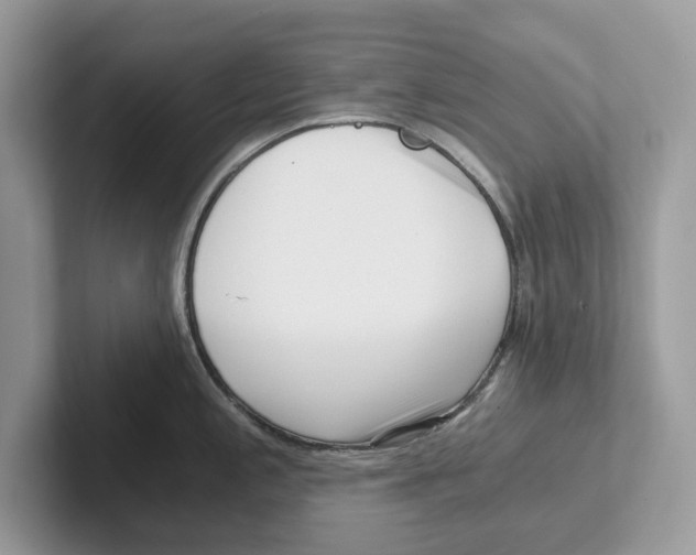 X0000100931197200807221130