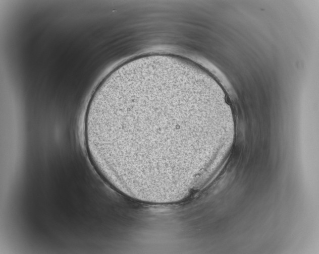 X0000100931199200807221130