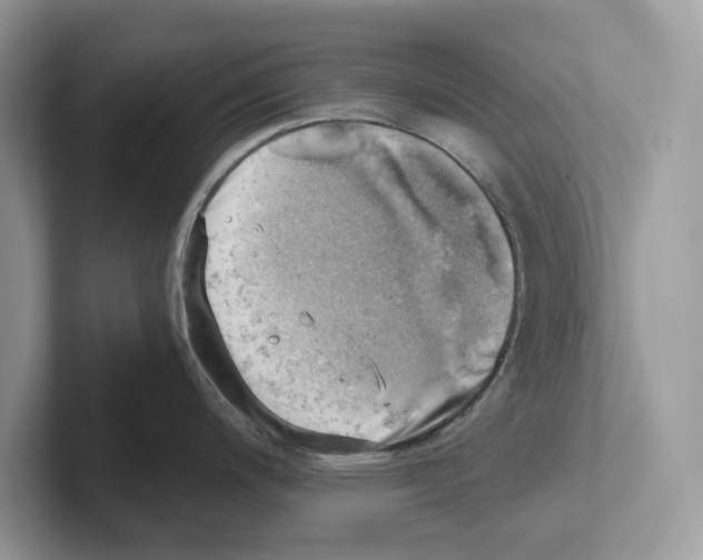 X0000100931200200807221130