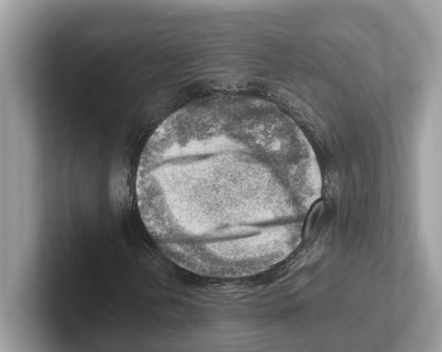 X0000100931202200807221130