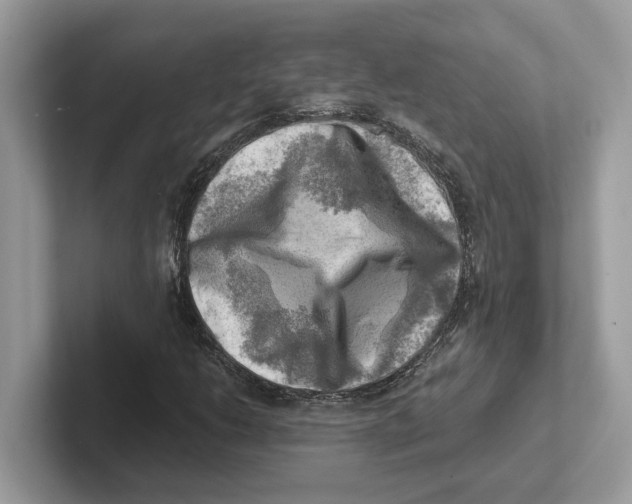 X0000100931206200807221130