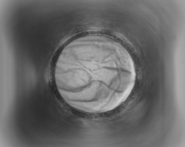 X0000100931208200807221130