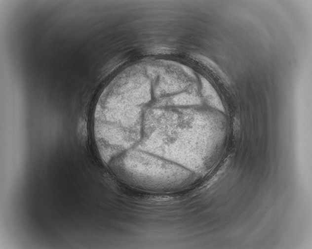 X0000100931209200807221130