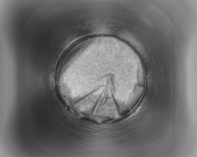 X0000100931212200807221130