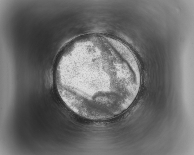 X0000100931214200807221130