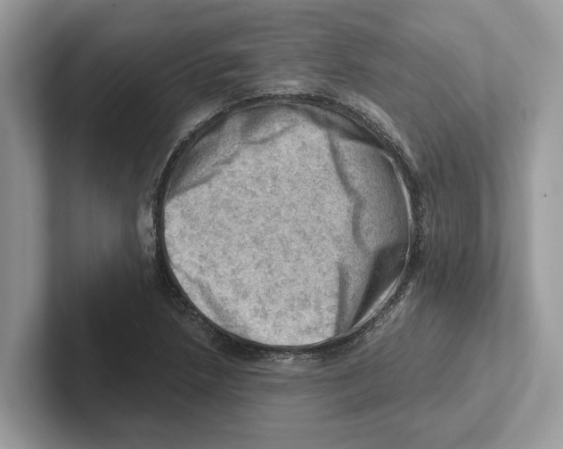 X0000100931218200807221130