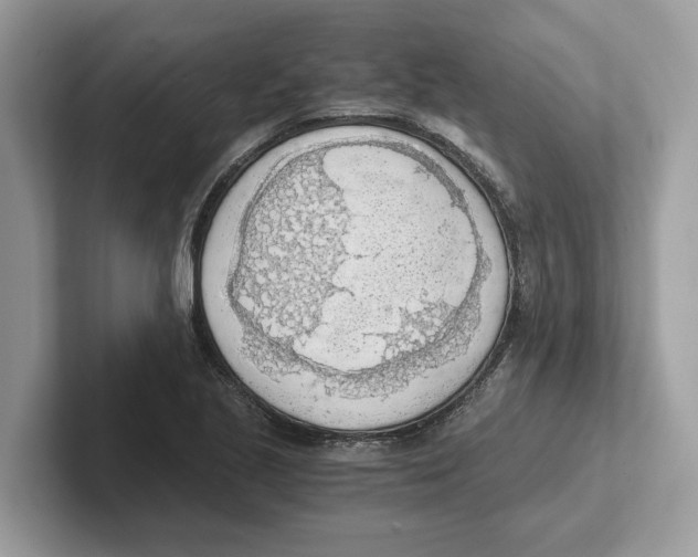 X0000100931221200807221130