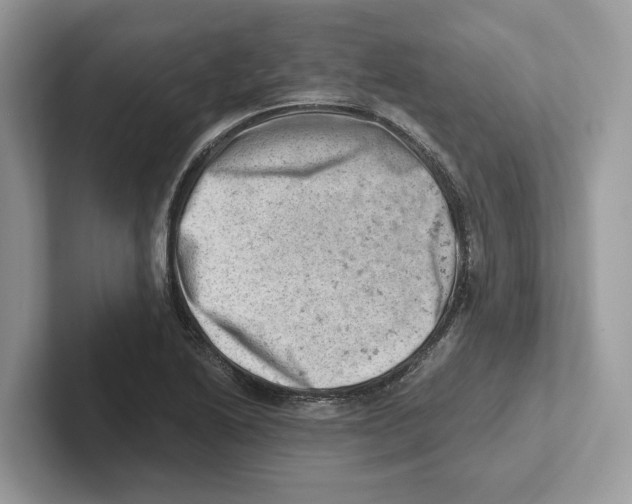 X0000100931222200807221130