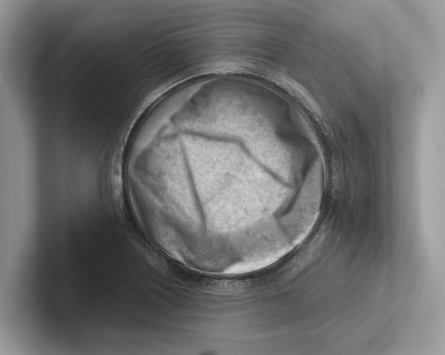 X0000100931226200807221130