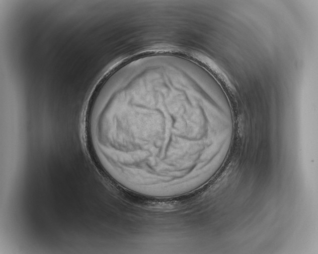 X0000100931229200807221130