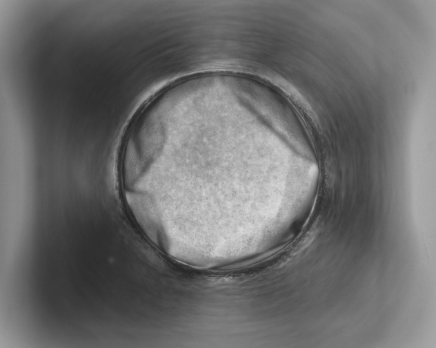 X0000100931230200807221130