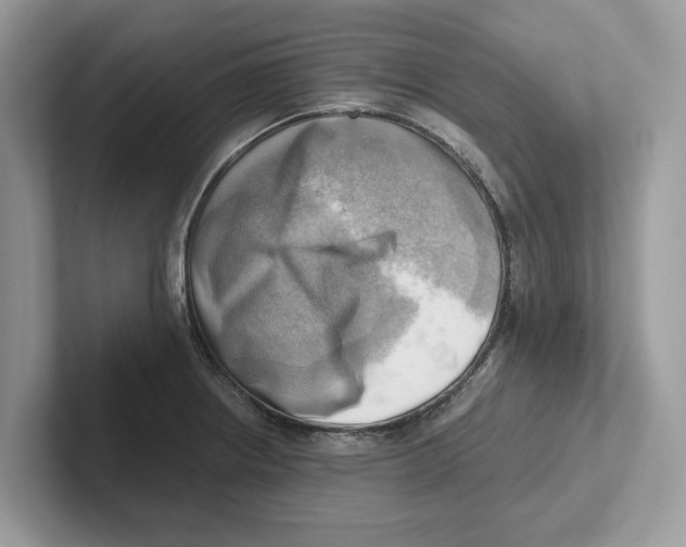 X0000100931234200807221130