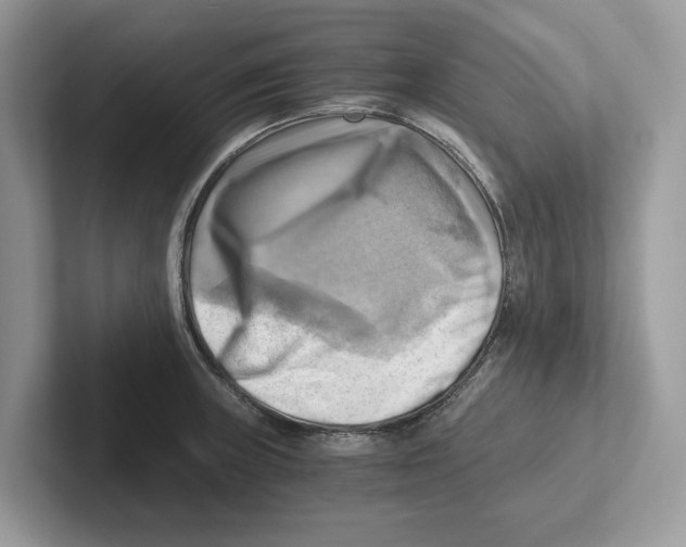 X0000100931235200807221130