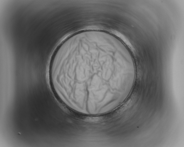 X0000100931237200807221130