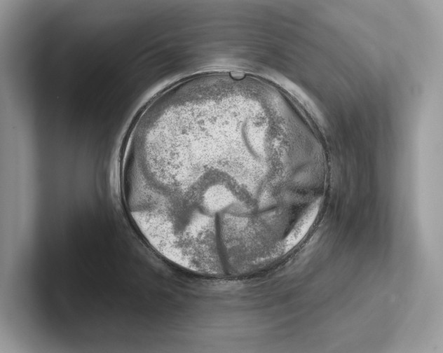 X0000100931238200807221130