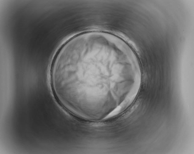 X0000100931239200807221130