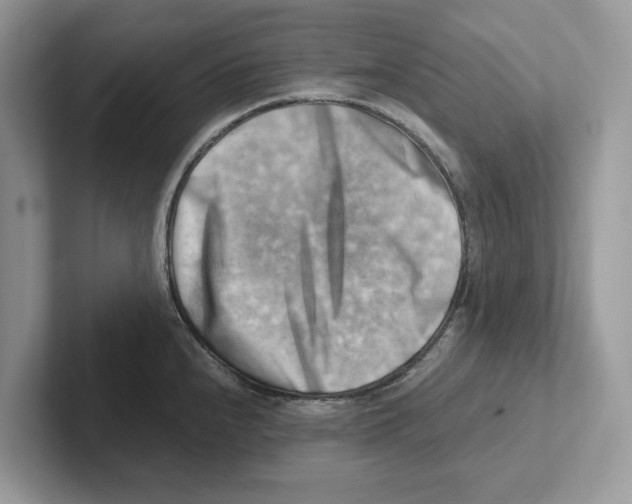 X0000100931240200807221130