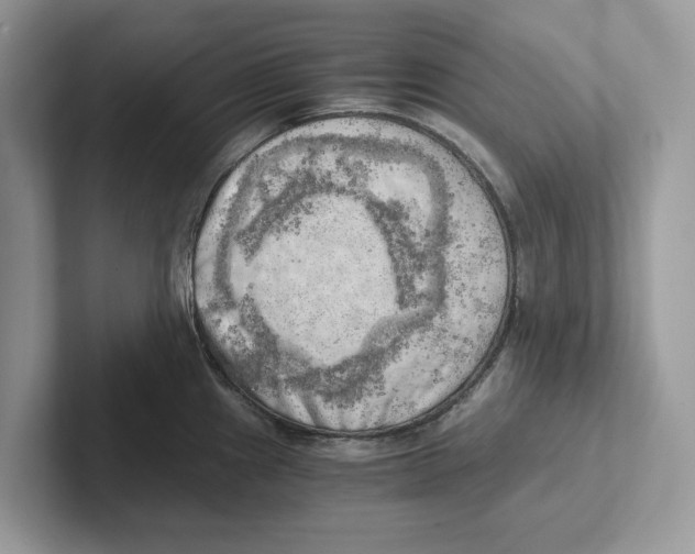 X0000100931241200807221130