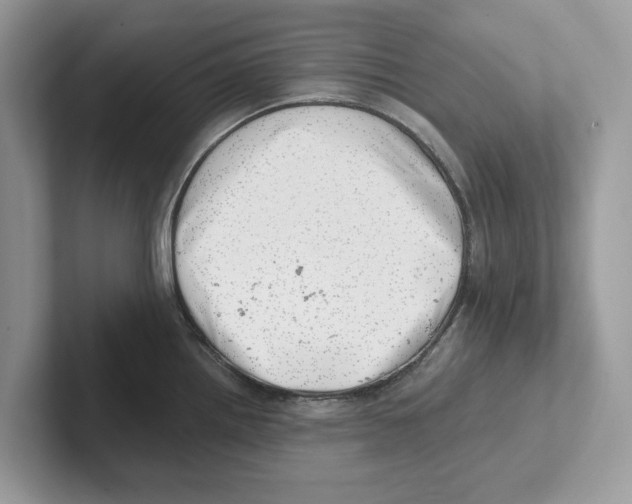 X0000100931242200807221130