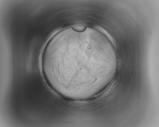 X0000100931243200807221130