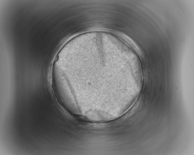 X0000100931244200807221130