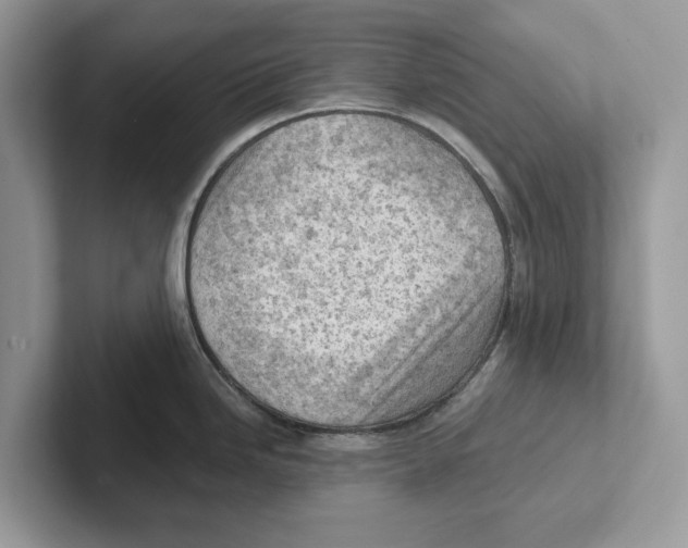 X0000100931246200807221130