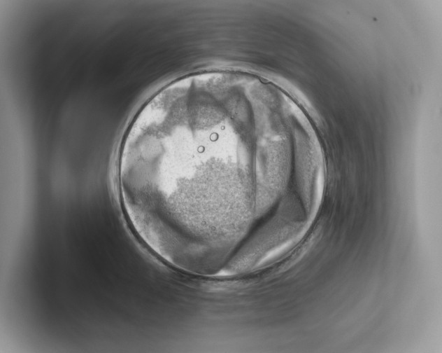 X0000100931247200807221130