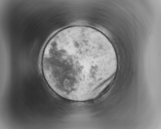 X0000100931248200807221130