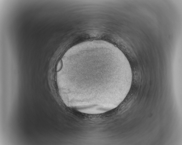 X0000100931249200807221130