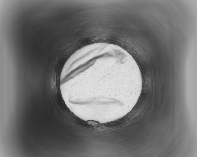 X0000100931250200807221130