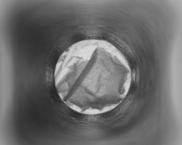 X0000100931251200807221130