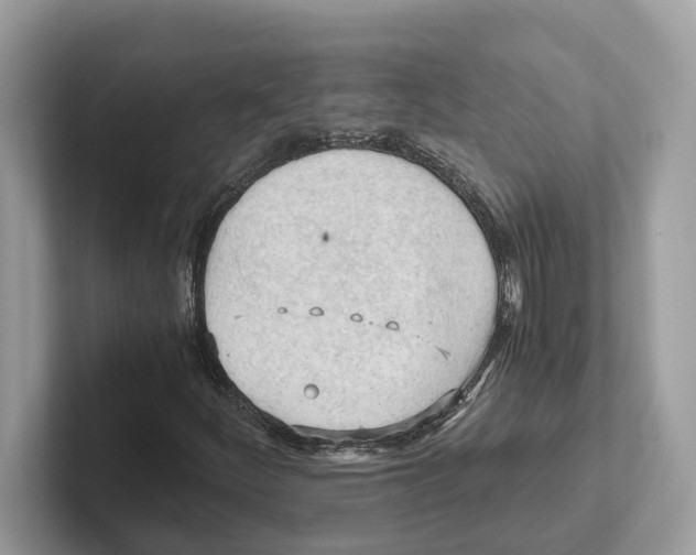 X0000100931252200807221130