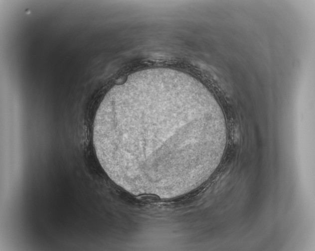 X0000100931253200807221130