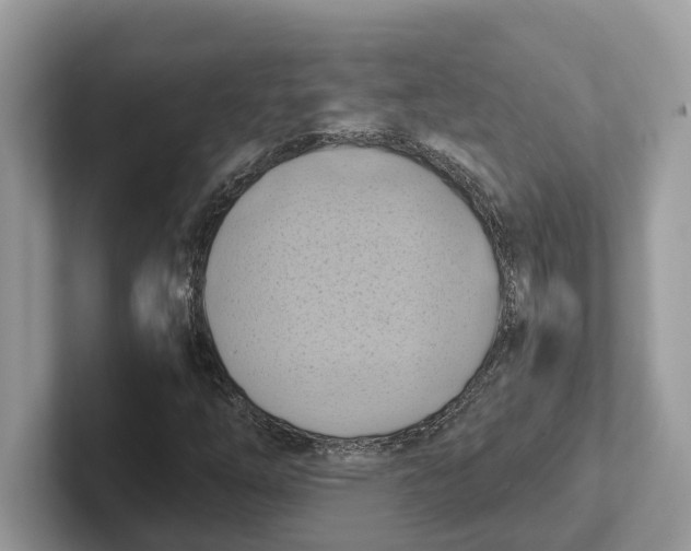 X0000100931254200807221130