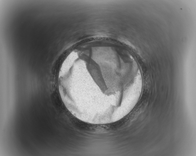 X0000100931255200807221130