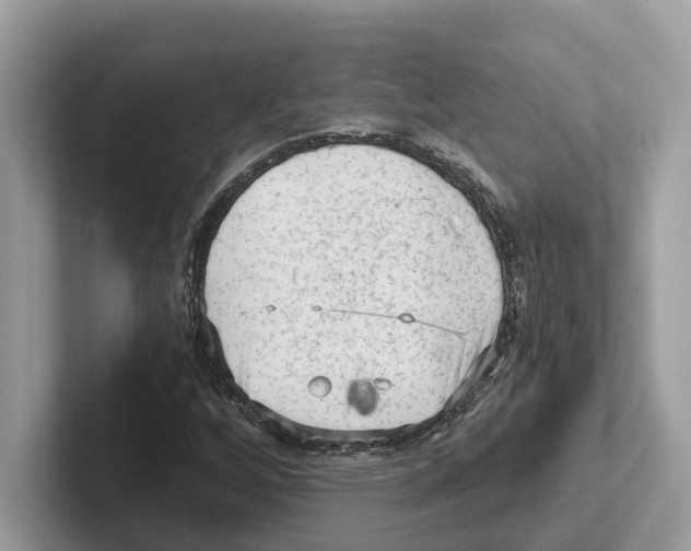 X0000100931256200807221130