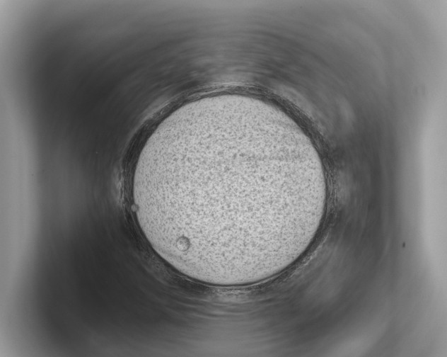 X0000100931258200807221130