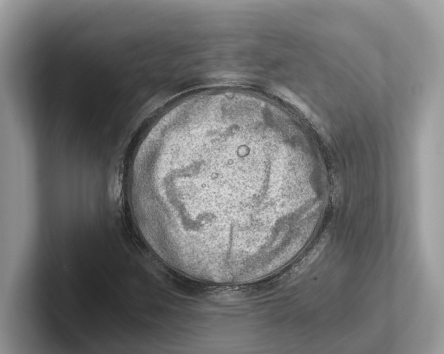 X0000100931259200807221130