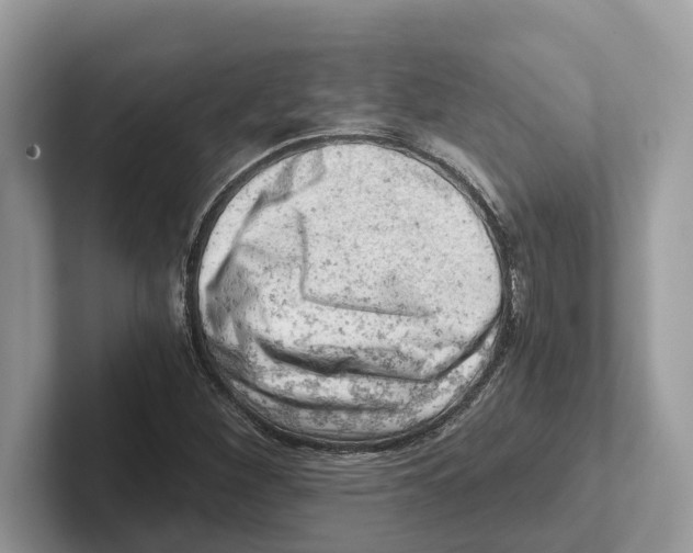 X0000100931260200807221129