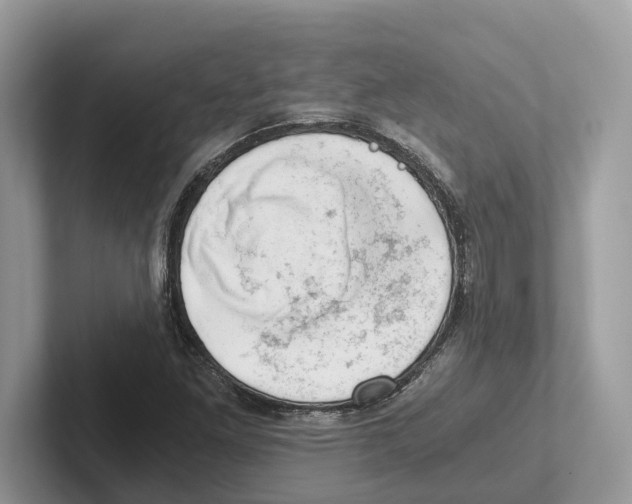 X0000100931261200807221129