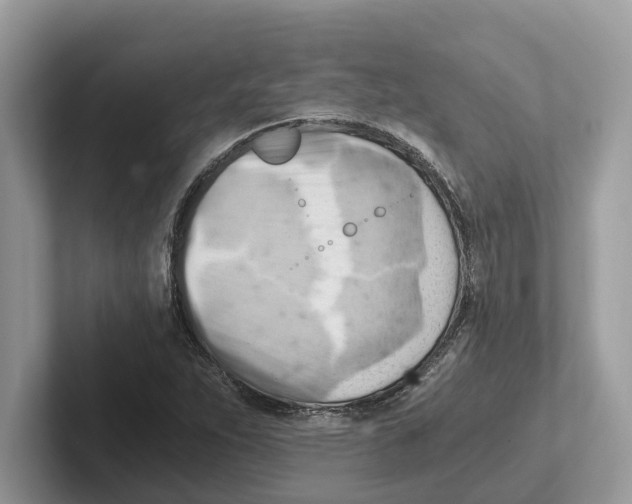 X0000100931263200807221129