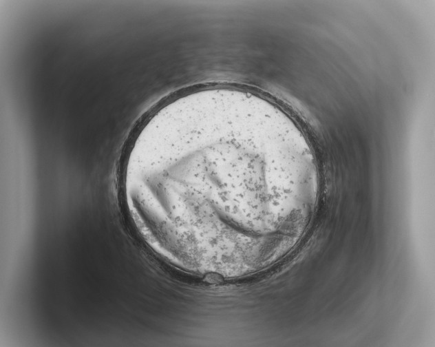 X0000100931264200807221129