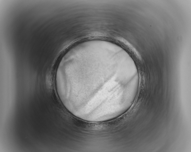 X0000100931266200807221129