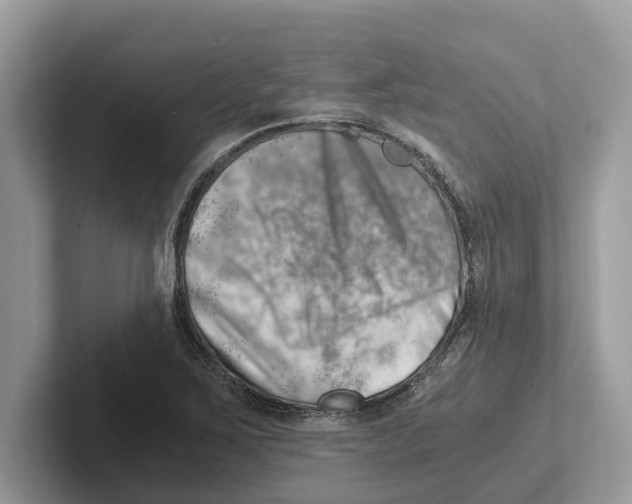 X0000100931267200807221129