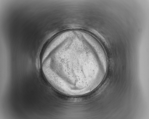 X0000100931269200807221129