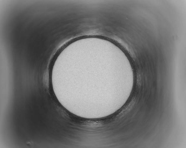 X0000100931270200807221129