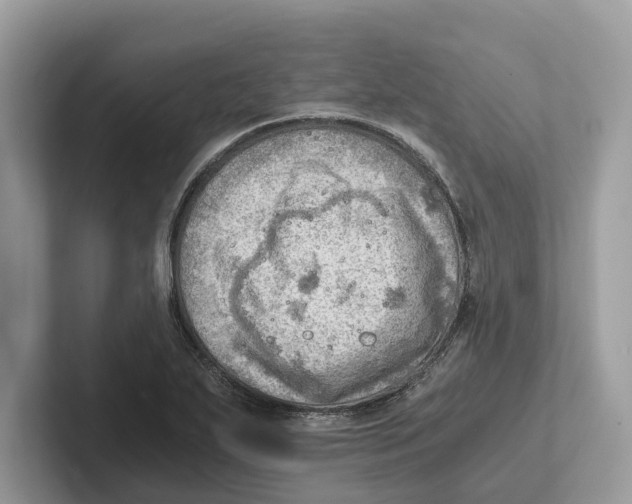 X0000100931271200807221129